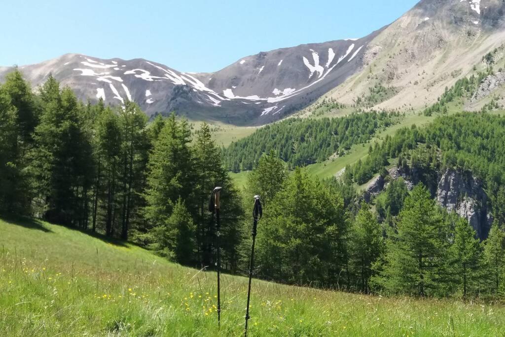 Chaleureux Appartement Au Coeur Des Orres 1800, Menage Compris Les Orres Exteriér fotografie