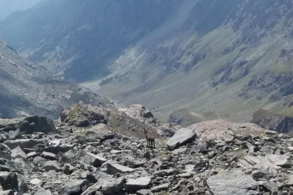 Chaleureux Appartement Au Coeur Des Orres 1800, Menage Compris Les Orres Exteriér fotografie